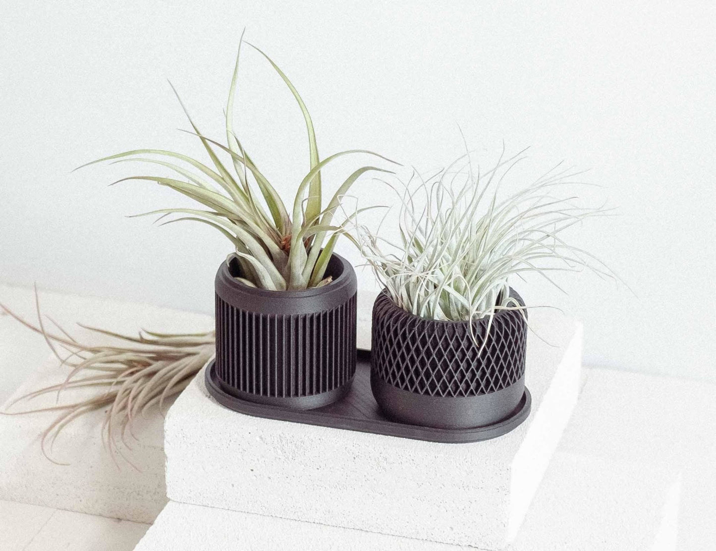 2er SET in Ceron Black - Liwadi