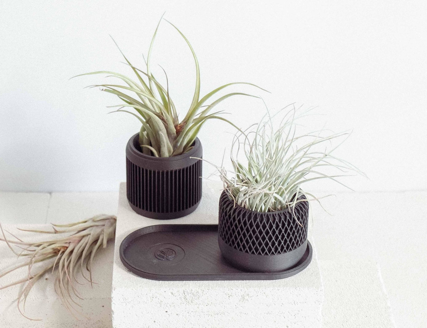 2er SET in Ceron Black - Liwadi
