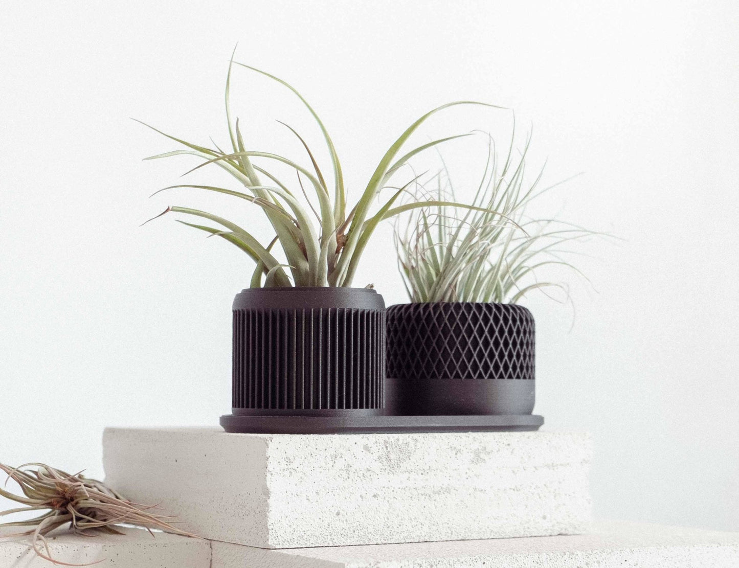 2er SET in Ceron Black - Liwadi