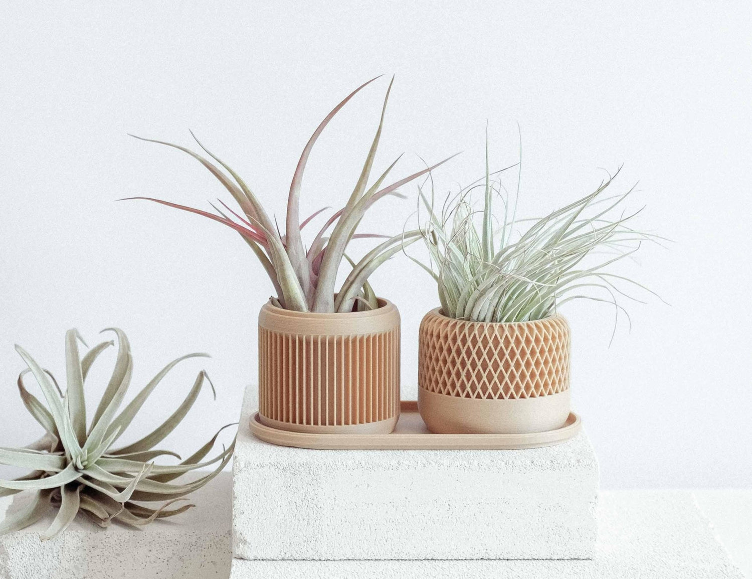 2er SET in Wood - Liwadi