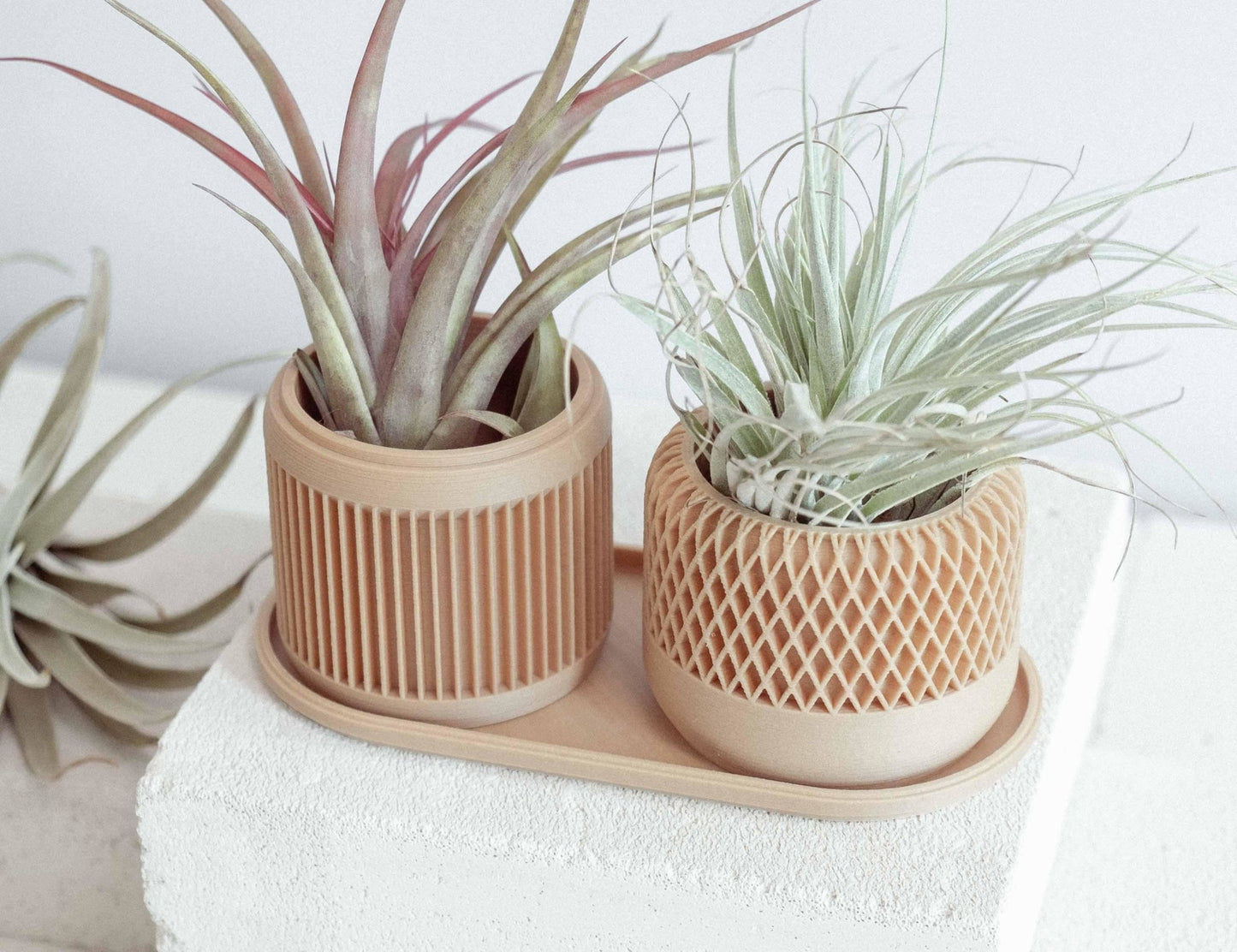 2er SET in Wood - Liwadi