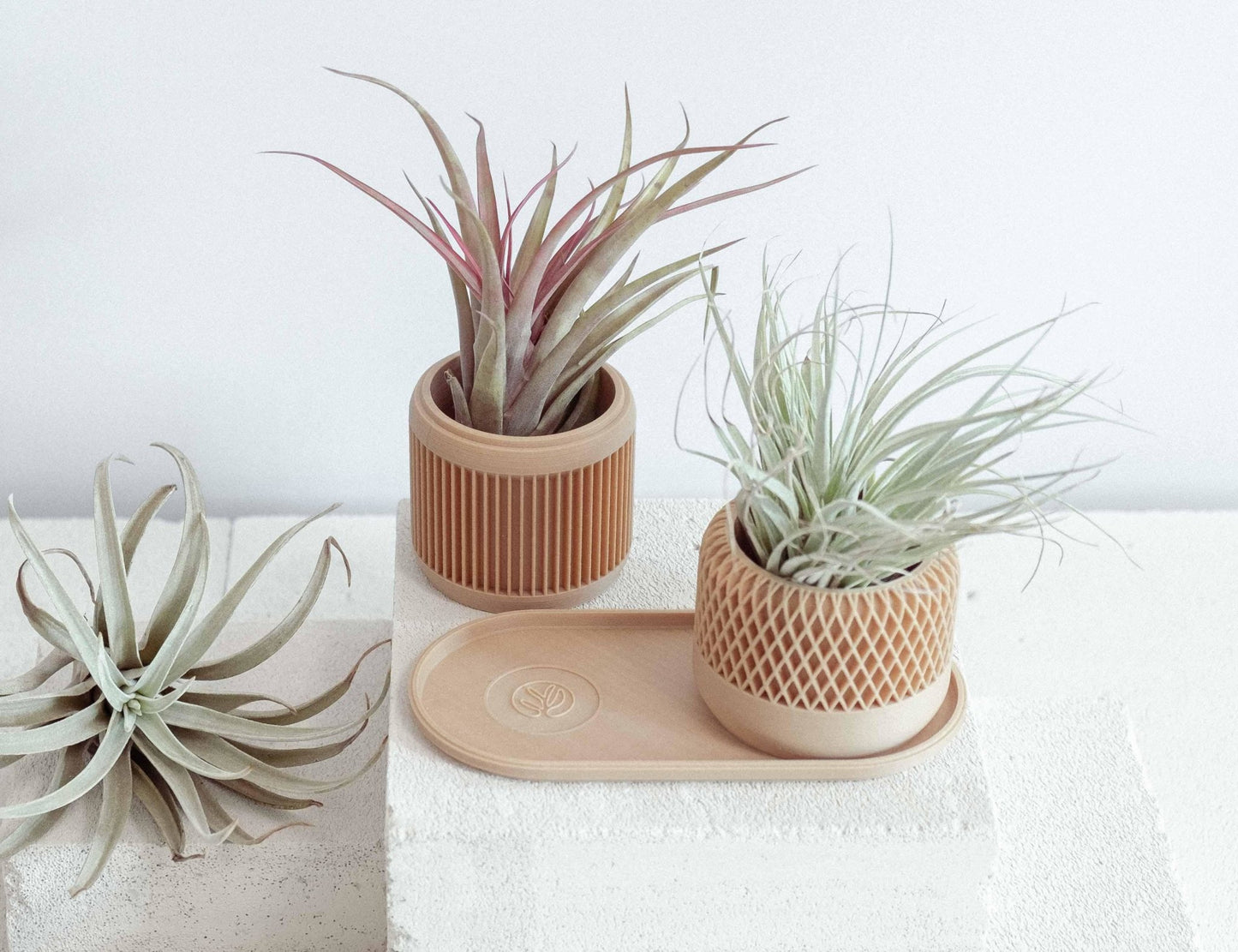 2er SET in Wood - Liwadi