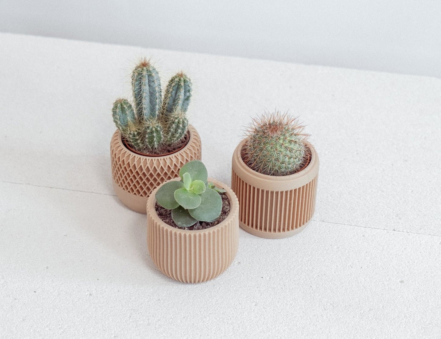 Blumentopf 3er Set MAGO in Wood - Liwadi