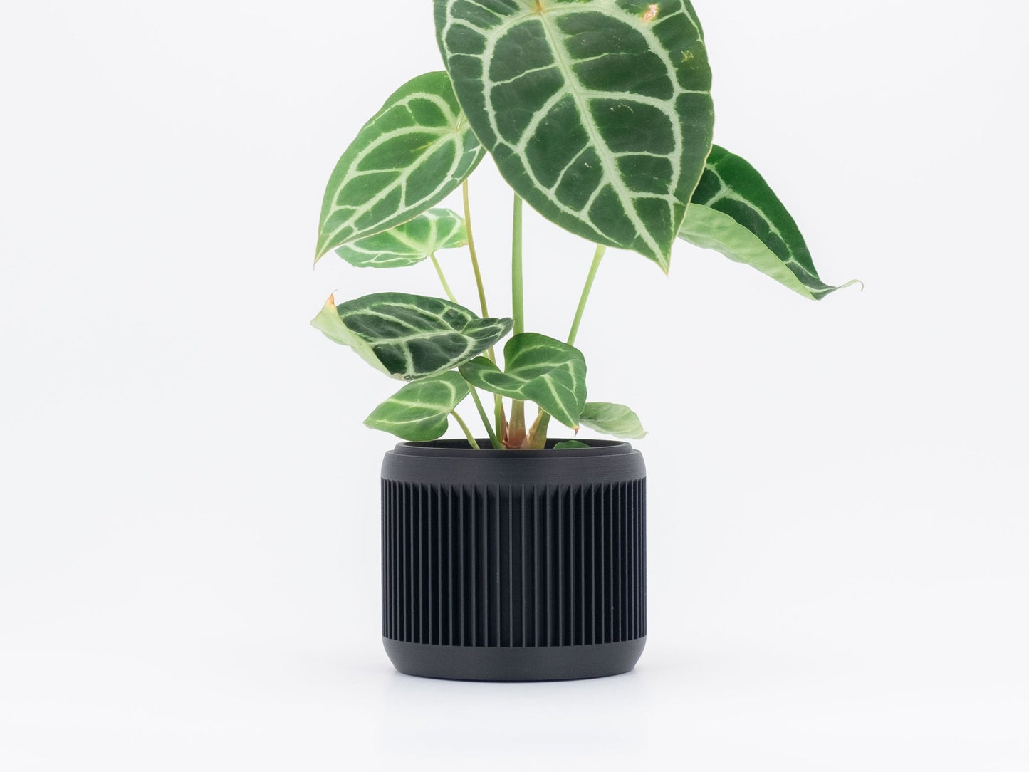 Blumentopf CHADA in Ceron Black 6-18cm - Liwadi