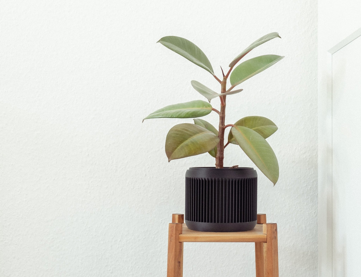 Blumentopf CHADA in Ceron Black 6-18cm - Liwadi