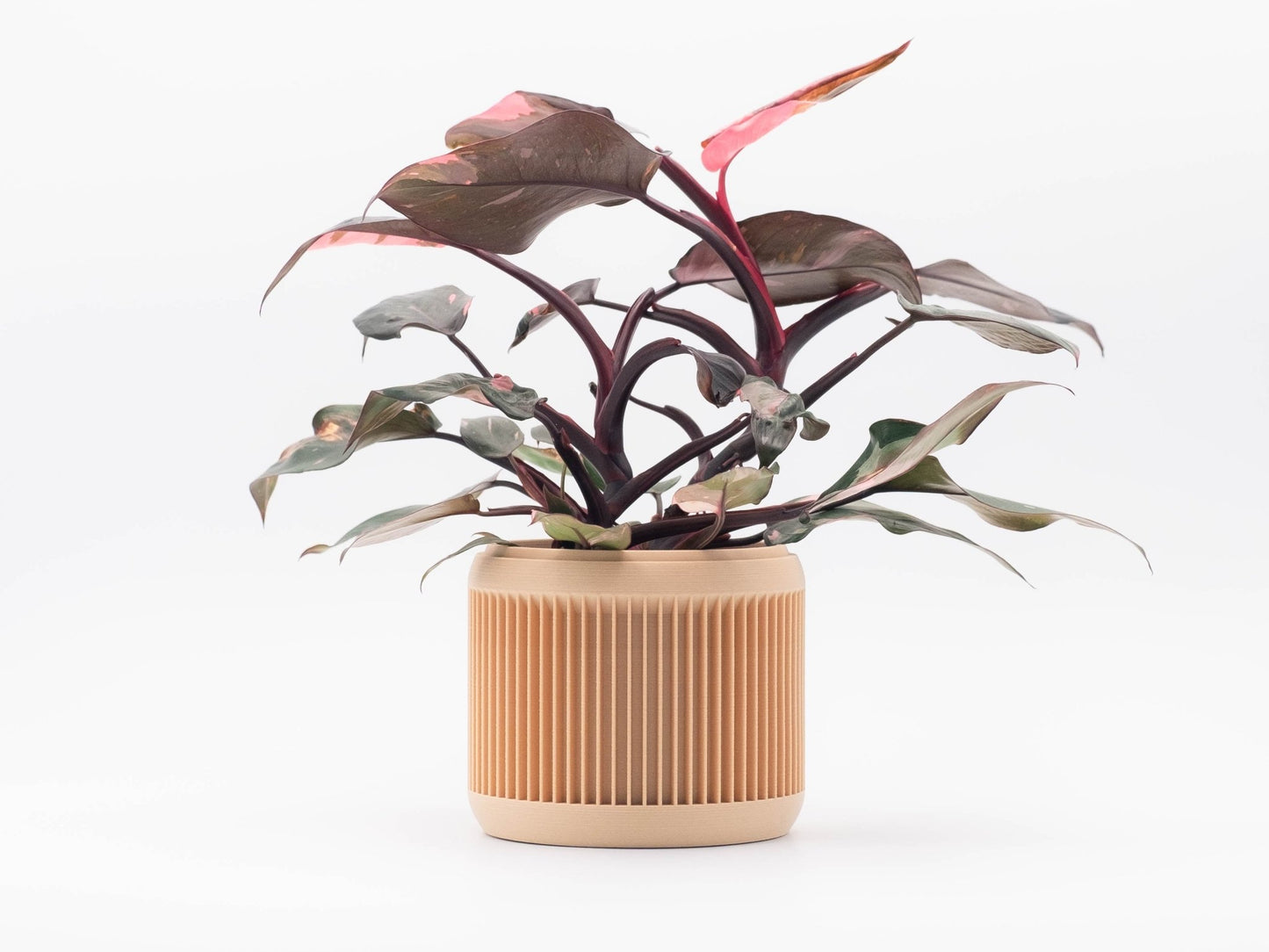 Blumentopf CHADA in Wood 6-18cm - Liwadi