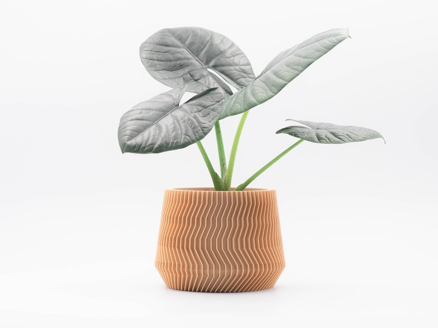 Blumentopf KELA in Wood 6-18cm - Liwadi