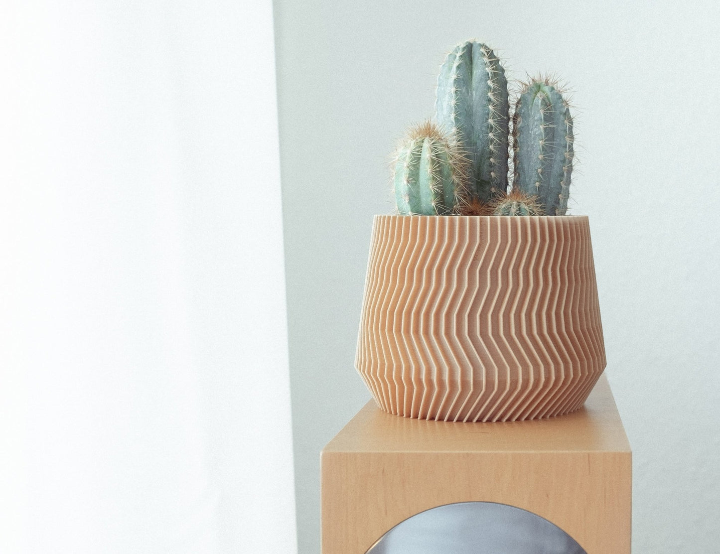 Blumentopf KELA in Wood 6-18cm - Liwadi
