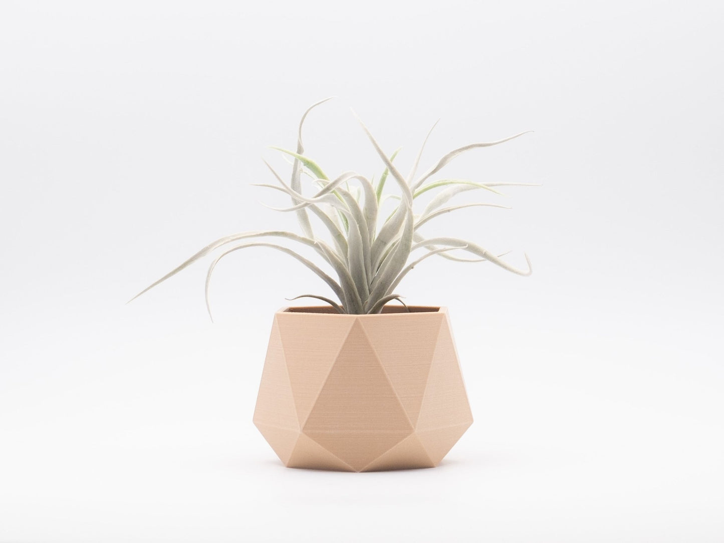 Blumentopf KEMBO in Wood 6-18cm - Liwadi