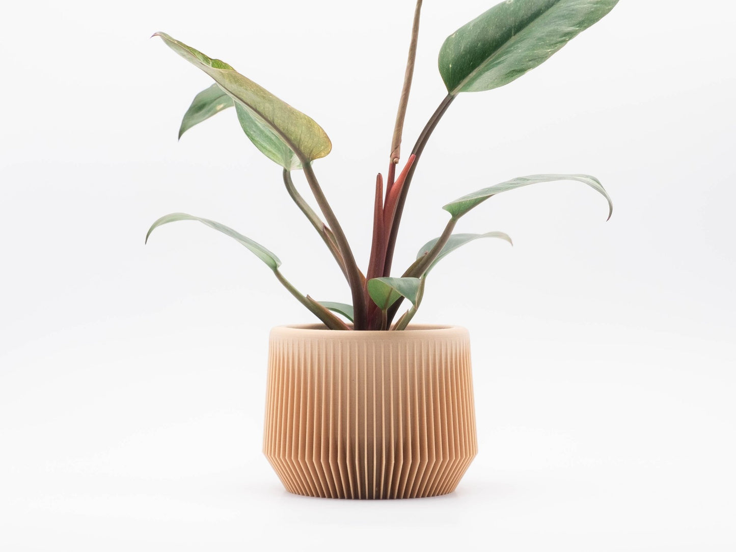 Blumentopf LUKO in Wood 6-18cm - Liwadi