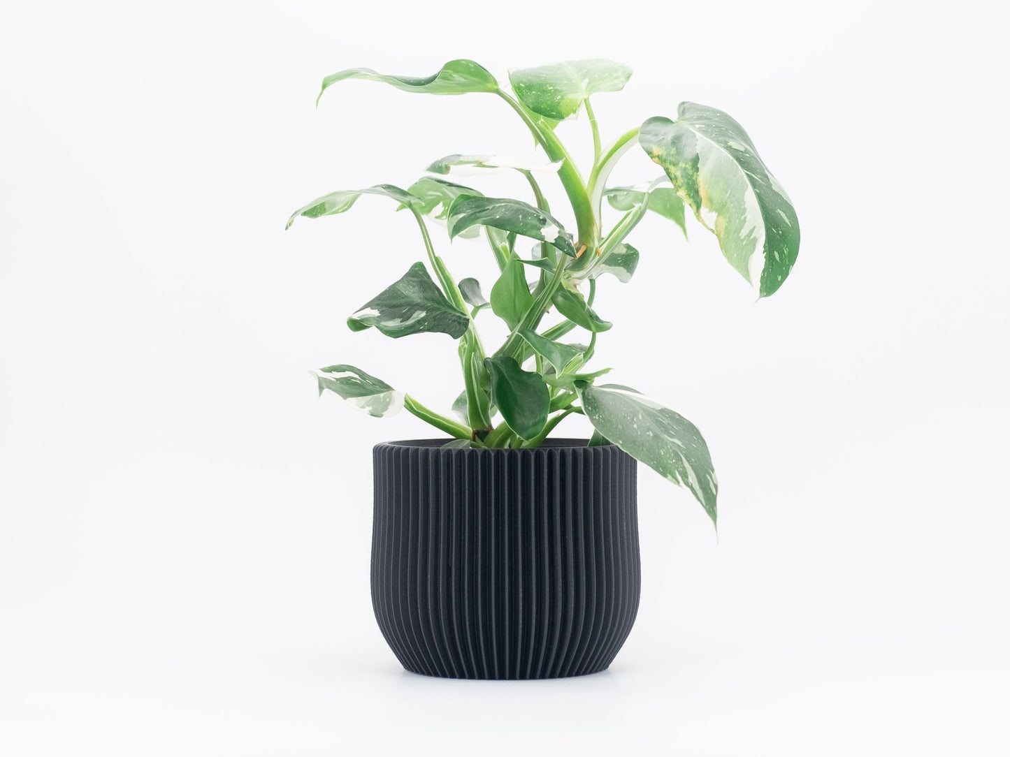 Blumentopf MANDO in Ceron Black 6-18cm - Liwadi