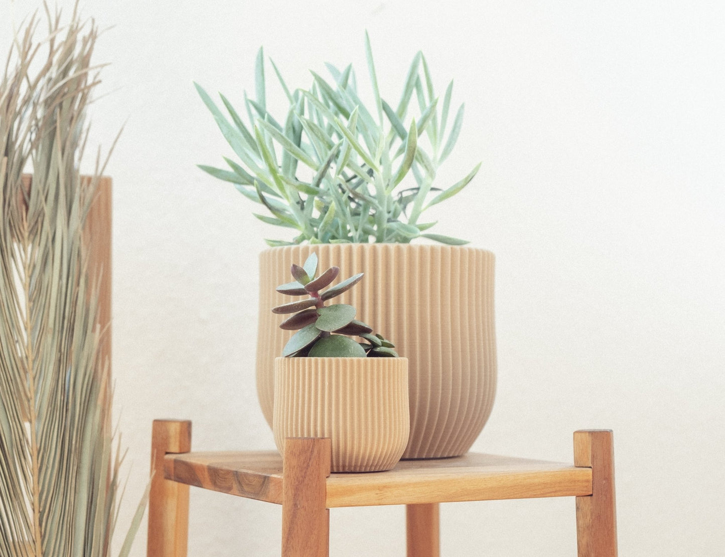 Blumentopf MANDO in Wood 6-18cm - Liwadi