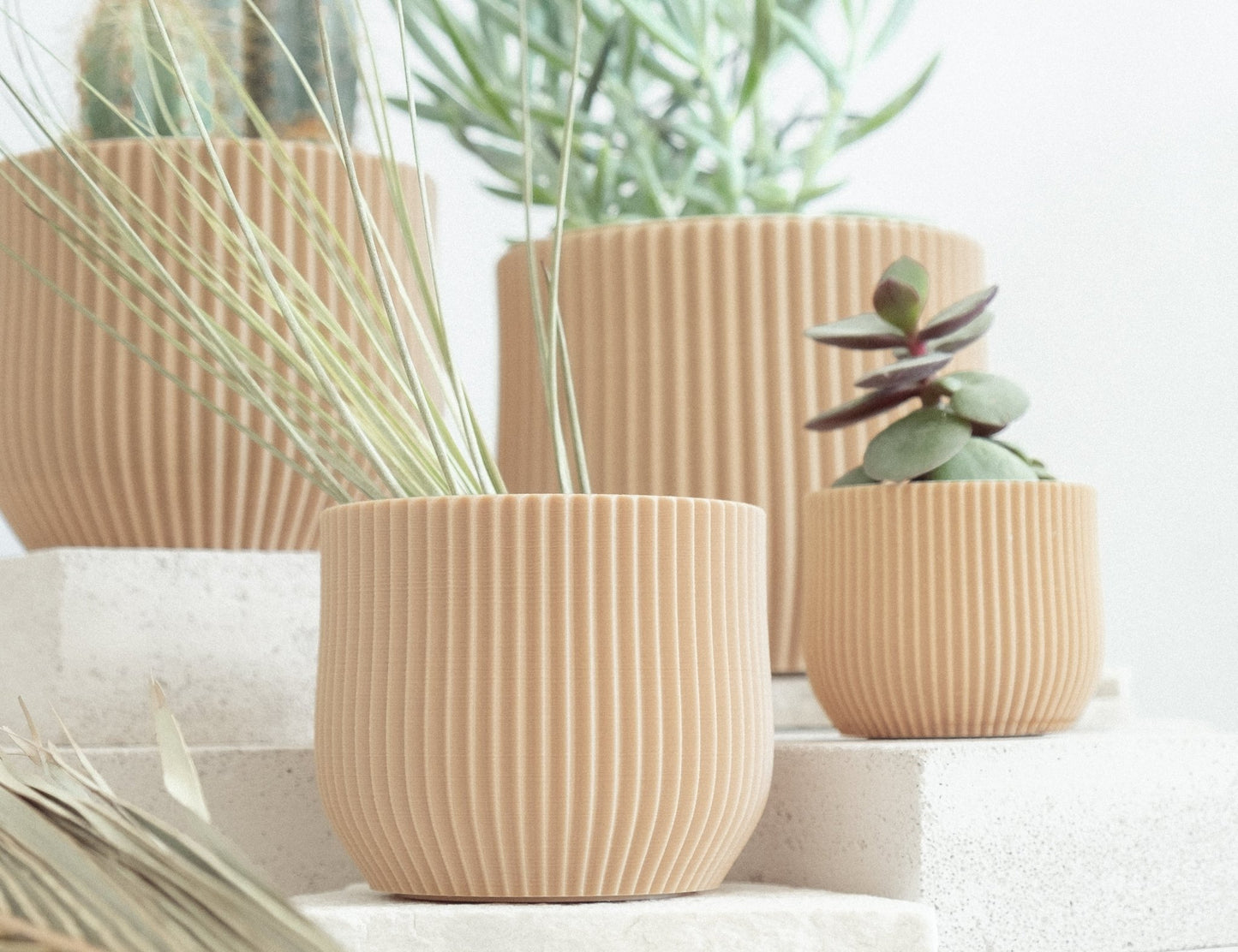 Blumentopf MANDO in Wood 6-18cm - Liwadi