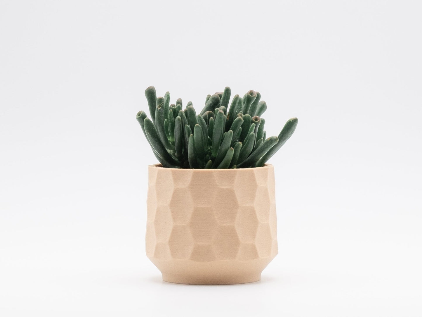 Blumentopf MATA in Wood 6-18cm - Liwadi