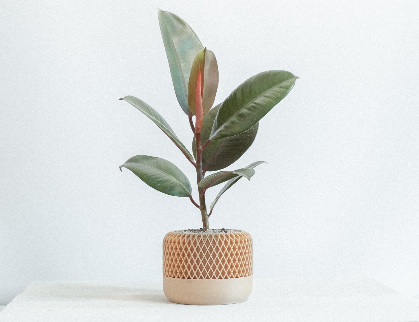 Blumentopf MONA in Wood 6-18cm - Liwadi