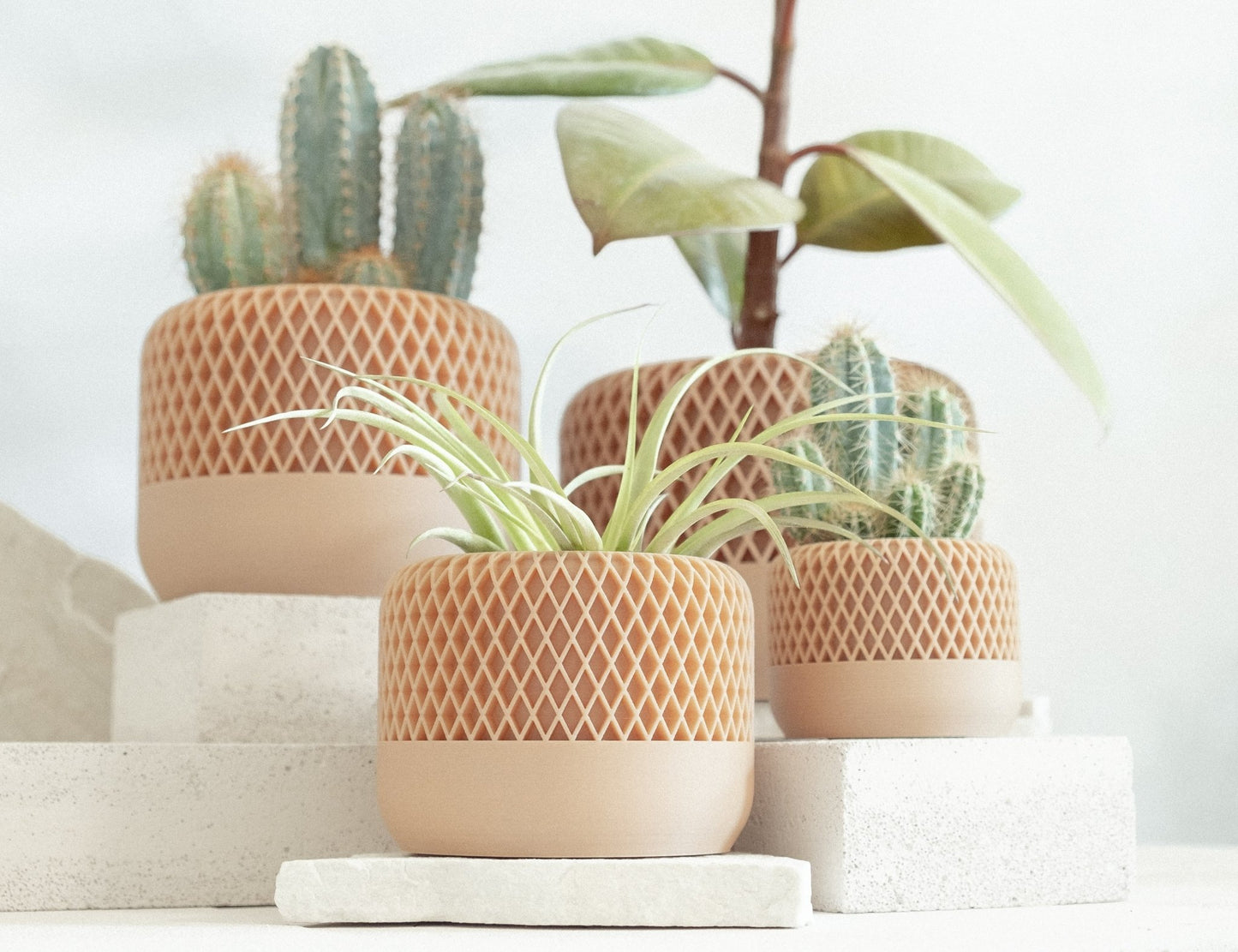 Blumentopf MONA in Wood 6-18cm - Liwadi