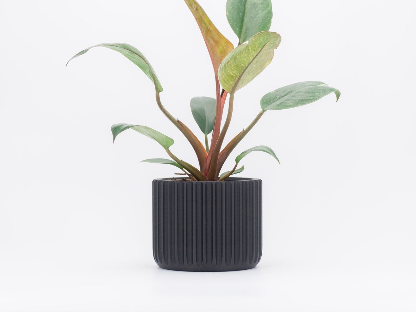 Blumentopf NEKO in Ceron Black 6-18cm - Liwadi