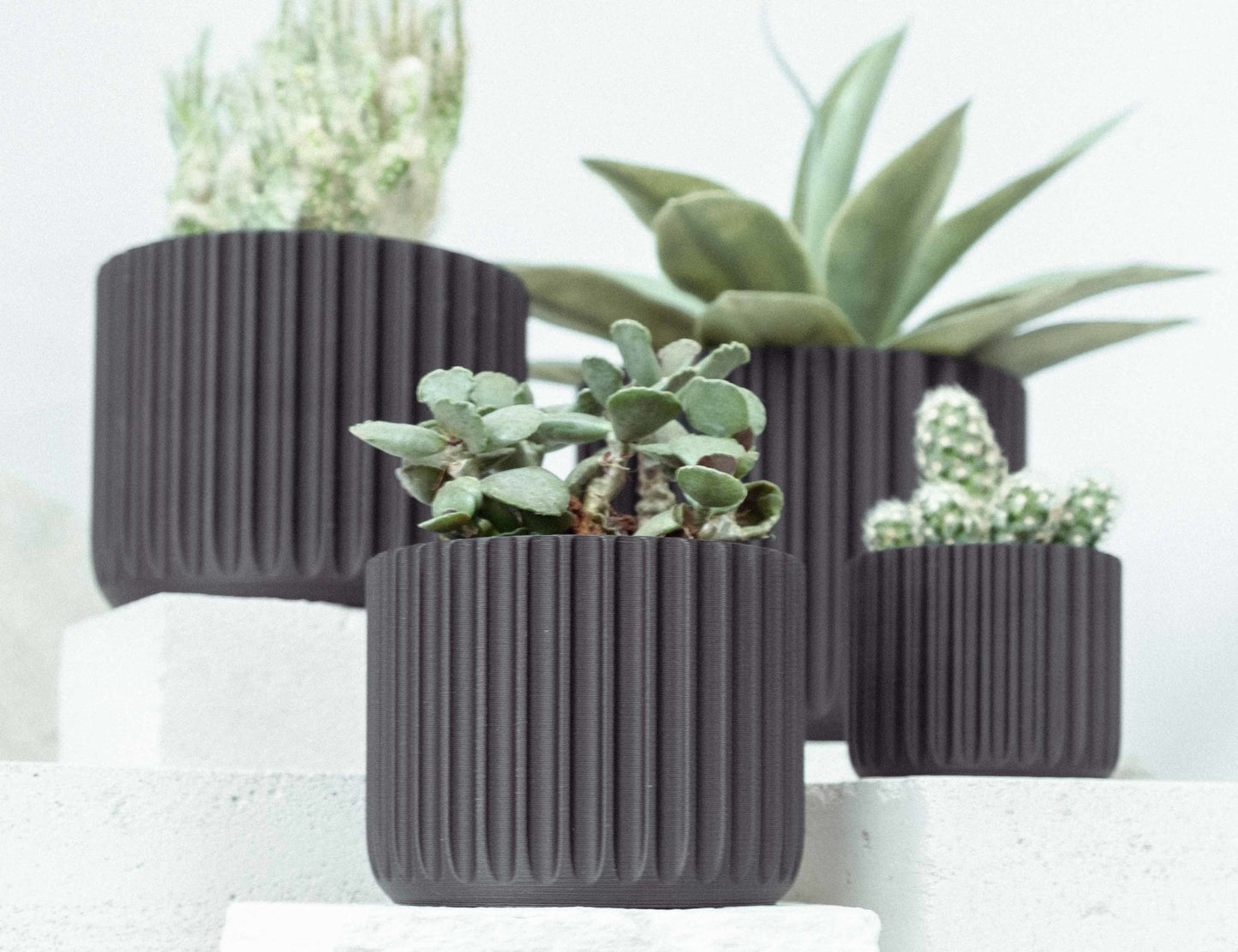Blumentopf NEKO in Ceron Black 6-18cm - Liwadi
