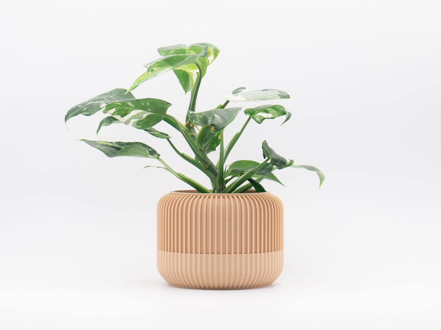 Blumentopf PRADA in Wood 6-18cm - Liwadi