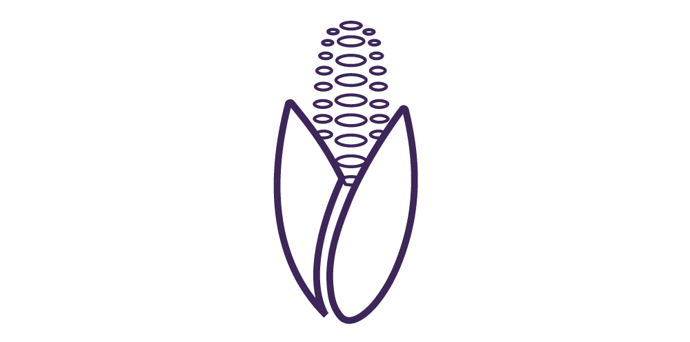 Icon eines Maiskolbens